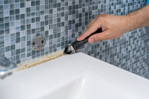 Professional Mold Removal in Scobey, MT